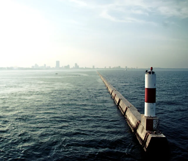 NCP_Image 1