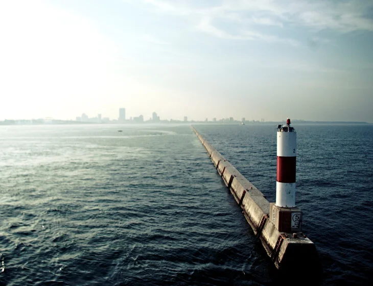 NCP_Image 1