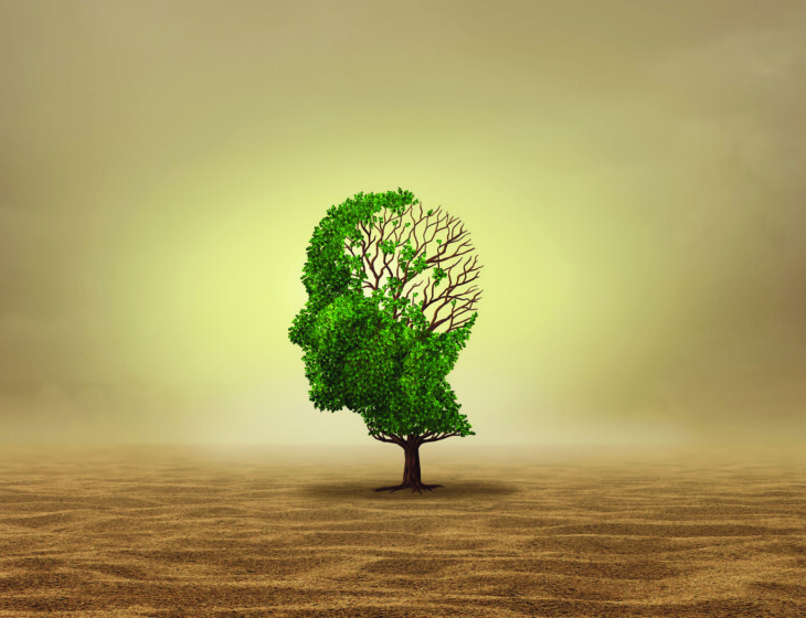 Mental Health and Heatave